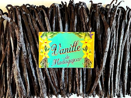 Vanille Bourbon XL 16-18 cm Premium 2025