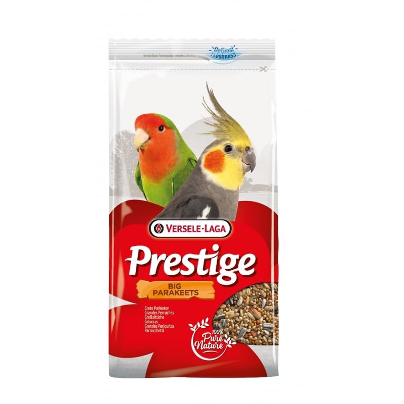 Espree Classic Care Shampoo and Conditioner in 1 20-Ounce