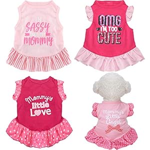 Weewooday Sassy Haustierkleid 4-teiliges Set