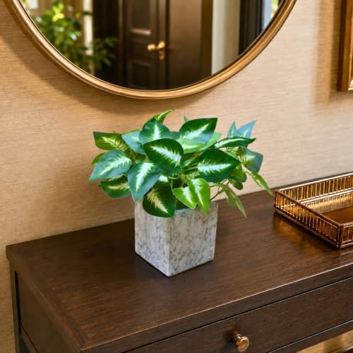 Image of fancymart Artificial Plant with Real-Touch Leaves in Pot, 25 cm, Indoor Tabletop Item for Home Decor, Office, Living Room