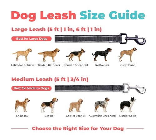 Image of Best Pet Supplies Voyager Reflective Dog Leash or Collar with Neoprene Handle, for Small, Medium, and Large Breed Puppies, Cute and Heavy Duty for Walking, Running and Training - Black (Leash), S