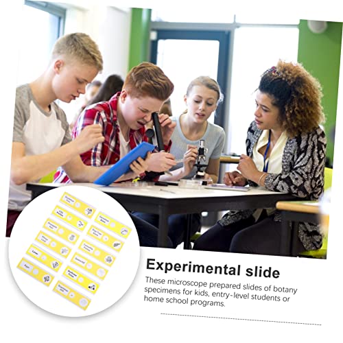 CHILDWEET 12pcs Glass Slide Microscope Slides Abs Specimens Sample Biological Specimen Child Plant Suite 4 51ZdTFocYYL