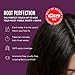 Madison Reed Root Perfection Permanent Root Touch Up, Darkest Brown 4N Spoleto, 10 Minutes for 100% Gray Root Coverage, Ammonia-Free Hair Dye, Two Applications