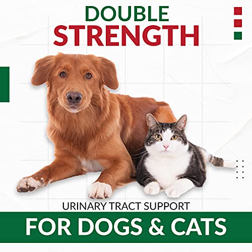 Cranberry D-Mannose For Dogs And Cats Urinary Tract Infection Support Prevents And Eliminates Uti, Bladder Infection Kidney Support, Antioxidant (Double Strength Tablet, 60 Count) #TOP5