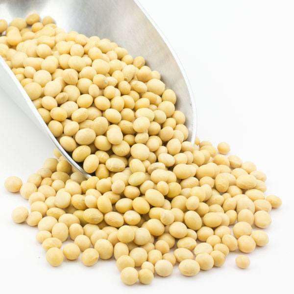 Organic Soybeans, NonGMO, High Protein, Rich in Fiber