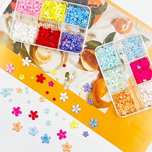 DaKuan 2 scatole di accessori per nail art 3D, 12