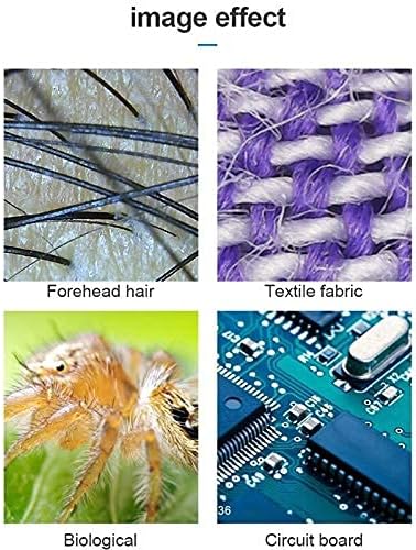 Surprising Insight: 50X-1000X WiFi Microscope... Test-compared USB Phone APP Tech_buyeroidal