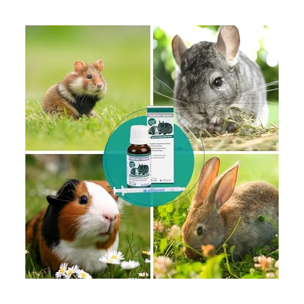 Alfavet RodiCare Immun, Immunstärkung für Kaninchen, Meerschweinchen und Kleinnager, Ergänzungsfuttermittel, mit Dosierspritze – Bild 5