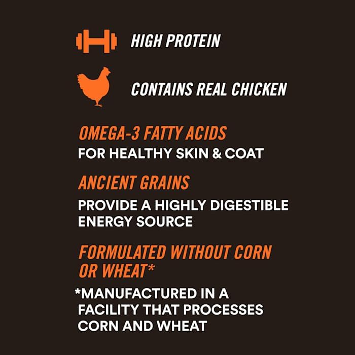 WholeHearted Active Performance Chicken Recipe Wet Dog Food with Whole Grains, 12.5 oz., Case of 12