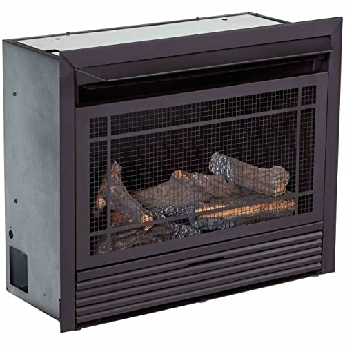 Duluth Forge Dual Fuel Ventless Gas Fireplace Insert - 26,000 Btu, T-Stat Control - Model# Fdf300T-R (Renewed) #TOP3