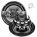 PRV AUDIO Carbon Fiber 8