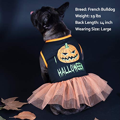 Kyeese Halloween Dog Dress Pumpkin Dog Tutu Dresses For Small Dogs Cat Cosplay Costumes, Orange, M #TOP2