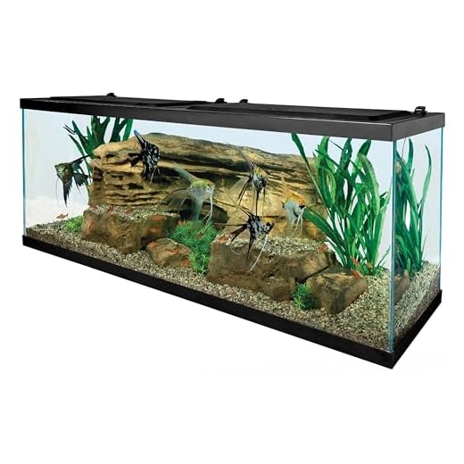 Tetra 55 Gallon Aquarium Starter Kit