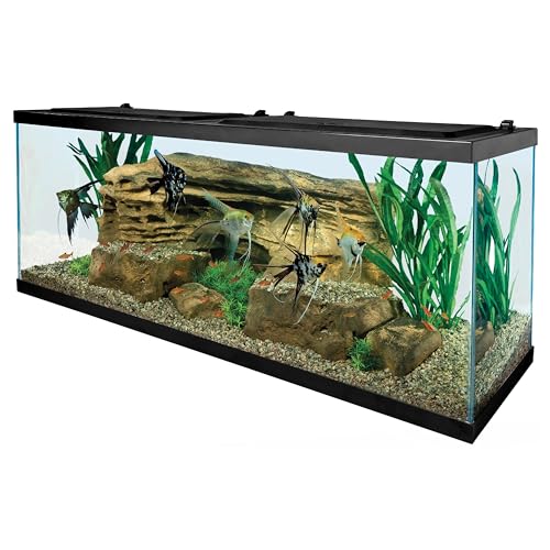 Tetra 55 Gallon Aquarium Kit with Fish Tank