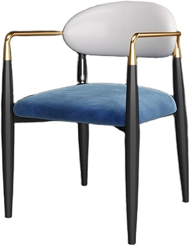 CPSUN Home Office Desk Chairs Dining Chair Home Armchair Cosmetic Chair Negotiation Chair Armchair Metal Leisure Chair