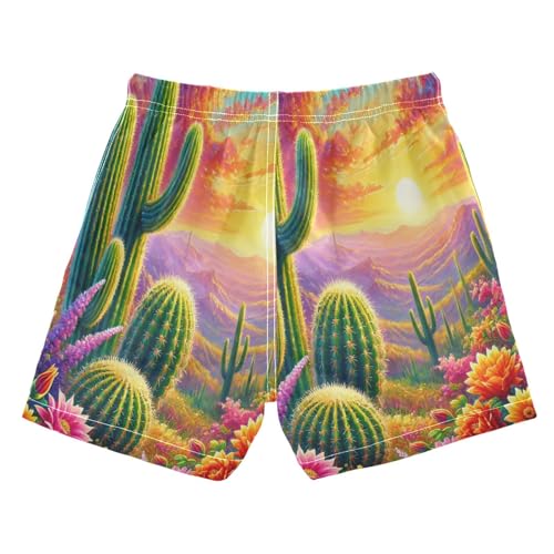 Cactus Desert Sunset Boys Swim Trunks Quick Dry Toddler Swimsuit Boy Bathing Suits Board Shorts Swimwear XL2