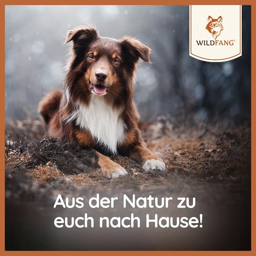 Wildfang® Paket Willkommen Wegbegleiter - kleine Hunde| Welpe |Starterset für Welpen, Welpenbox, getreidefreie Proben Trockenfutter, Lederknochen, Hartkäse Probierset, Kaffeeholz Kaustab