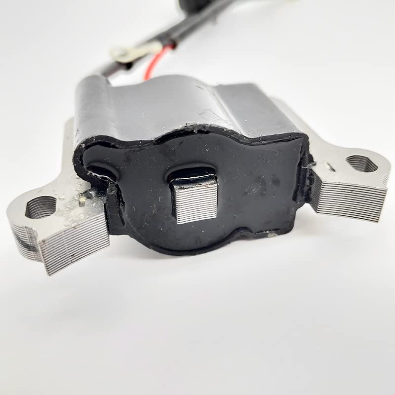 Bobina Di Accensione Per Tagliaerba | Confronta Prezzi - Foto 10