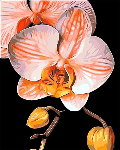 Point de croix Fleur de Phalaenopsis 11CT kit complet de broderie DIY 40x50cm