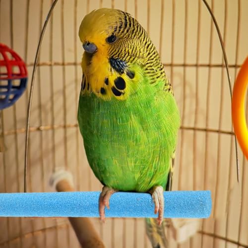 Perches pour oiseaux lot de bâtons à gratter pour perroquets cage - 6