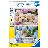 Ravensburger