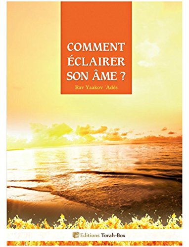 Télécharger Comment éclairer son âme ? Livre eBook France
