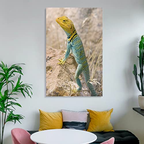 Wall Posters Animal Ring Neck Lizard Art Posters Canvas Wall Art Prints For Wall Decor Room Decor Bedroom Decor Gifts Posters 24X36Inch(60X90Cm) Frame-Style #TOP5