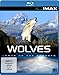 Produktbild Seen On IMAX: Wolves - Lords of the Forests [Blu-ray]