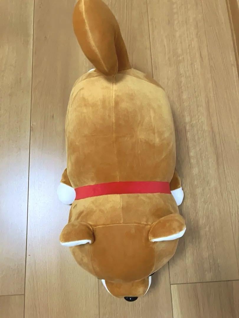 Amazon.co.jp: ハッピーまめしば ぬいぐるみ 2等 柴犬 : おもちゃ