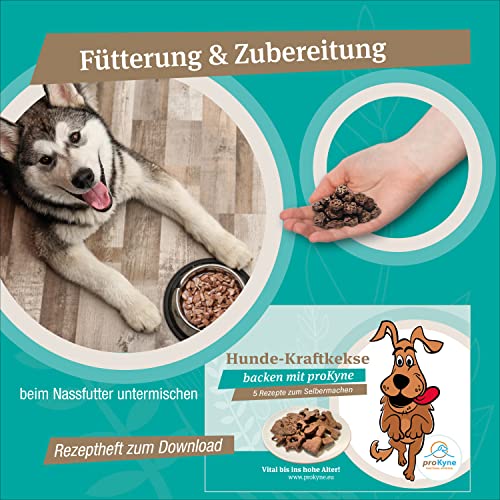 proKyne FUNCTIONAL NUTRITION 200g Kräuter Pulver | All-in-One Nahrungsergänzung Multivitamine für Hunde | Unterstützt Gelenke Immunsystem Haut Fell Vitalität Verdauung. Für Erwachsene Tiere
