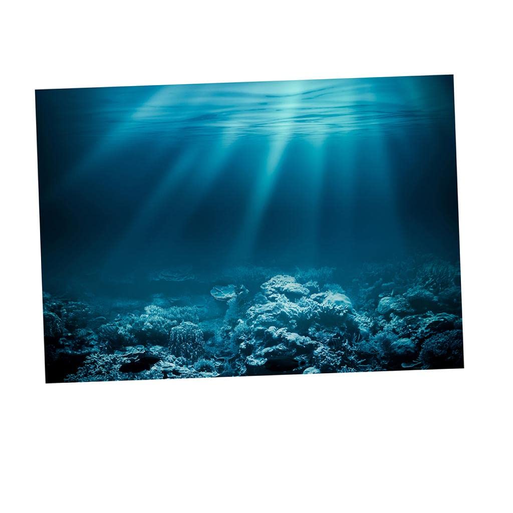 THE STYLE SUTRA Aquarium 3D Background Sticker Fish Tank Wall Decoration Painting PVC XS ||1 Piece Fish Tank Sticker|| (B0C8689B9H) Amazon Price History, Amazon Price Tracker