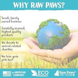 Raw-Paws-Grooming-Gloves-2-ct-Soft-Tip-Pet-Grooming-Gloves-for-Dogs-Cats-Horses-Cat-Deshedding-Glove-Cat-Gloves-for-Grooming-Dog-Deshedding-Glove-Cat-Grooming-Gloves-Dog-Brush-Glove - Cucciolini Doodles   Raw-Paws-Grooming-Gloves-2-ct-Soft-Tip-Pet-Grooming-Gloves-for-Dogs-Cats-Horses-Cat-Deshedding-Glove-Cat-Gloves-for-Grooming-Dog-Deshedding-Glove-Cat-Grooming-Gloves-Dog-Brush-Glove