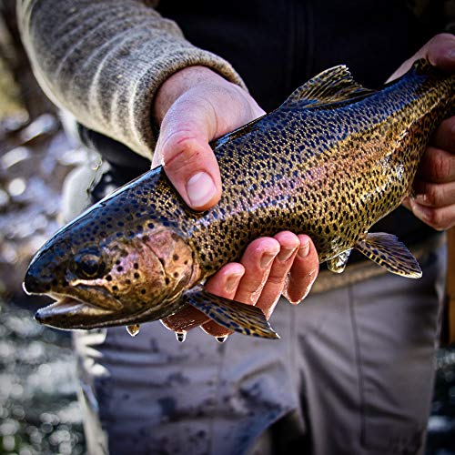 Ventures Fly Co. | Baker’s Dozen Pack | 13 Premium Hand-Tied Wooly Bugger Fly Fishing Flies | Water-Proof Fly Cup Included | Streamers Perfect for Trout, Bass, Panfish, Bluegill, and More! - Thumbnail 3