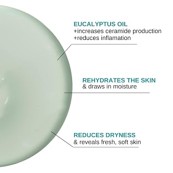 Bodipure Eucalyptus Mud Mask for Body - Rich in Eucalyptus, and Active Mud to Firm and Rehydrate Skin - Spa Quality Mud Moisturizing, and Cooling Skin, 16 Ounce