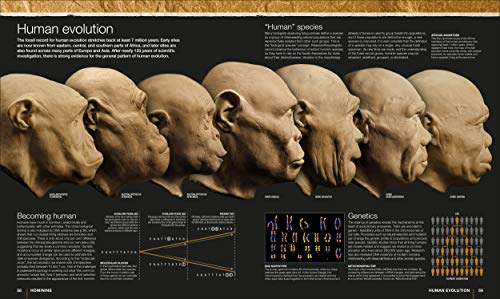 Image of Evolution: The Human Story, 2nd Edition