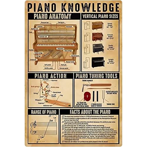 Letrero metálico con información sobre piano, guía de referencia para principiantes, carteles de hojalata, educación en la sala de piano, placas de aluminio, decoración de pared, hogar, dormitorio, cl