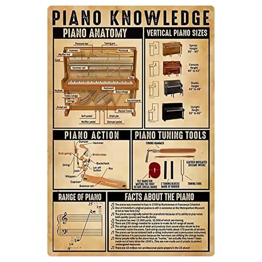 Letrero metálico con información sobre piano, guía de referencia para principiantes, carteles de hojalata, educación en la sala de piano, placas de aluminio, decoración de pared, hogar, dormitorio, cl