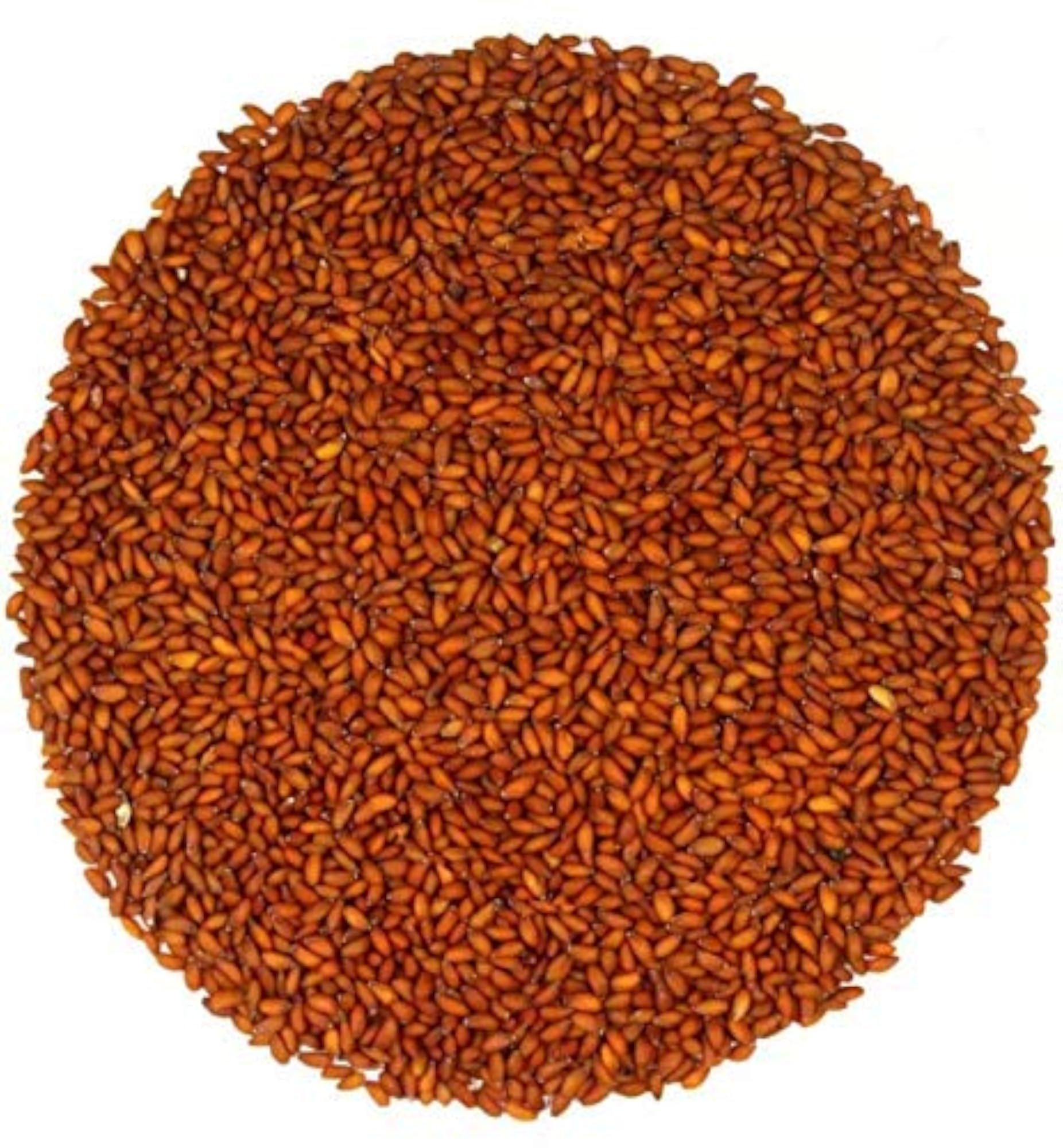 YUGANTAR Chandrashura Beej - Pack of 2