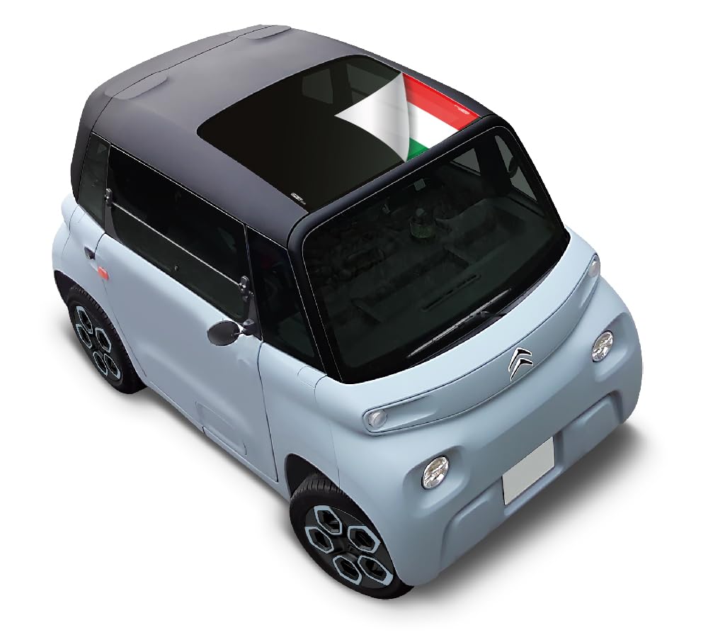 Flag - ITA 01 Pare Soleil Compatible pour Fiat Topolino, Citroën Ami, Opel Rocks-e