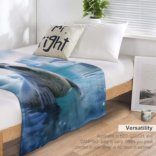 Couverture super douce et moelleuse pour stopper le froid