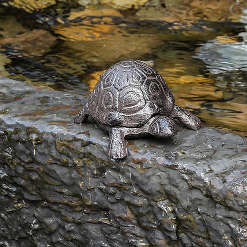 Compartiment dissimulé de cour dans une tortue de rangement - 5