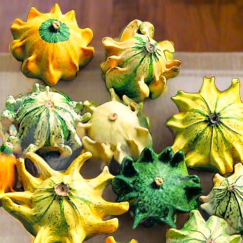 TomorrowSeeds - Crown of Thorns Ornamental Gourd Seeds - 60+ Count - for 2026 Planting Shenot Ten Decorative Autumn Harvest Fall Craft Display Art Pumpkin Squash Grow Your Own Home Farm Patio Healthy