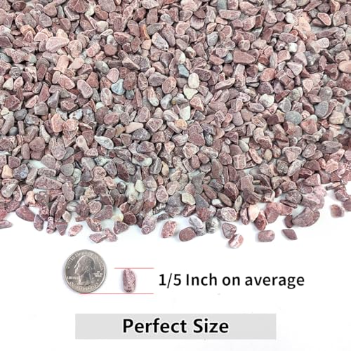 Image of YISZM 2LB Succulent and Cactus Gravel Pebbles, 1 /5 Inch Natural Decorative Polished Stones, River Rocks for Vases Gardening Indoor and Outdoor Decorative Rocks, Red