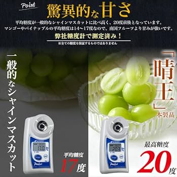 晴王シャインマスカット 6個入り 岡山産シャインマスカット晴王5キロ箱6房入り - 豊洲市場の仲卸