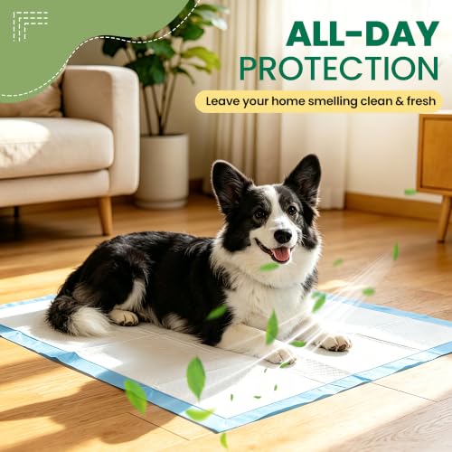 Image of IMMCUTE Puppy Pee Pads,Large 30x28 Inch,50 Count,Super Absorbent Dog Pads