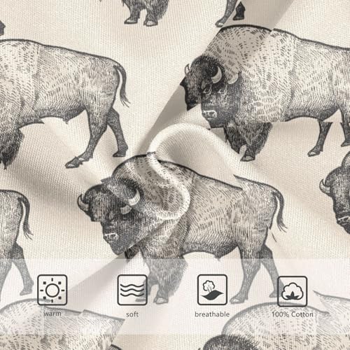 Boys' Underwear Cotton Little Boys Bison Cow Briefs Soft Toddler Underwear 2T-8Y3