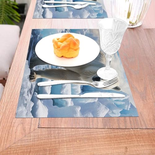 Sets de table antidérapants et résistants à la chaleur lot de 6 PVC - 4