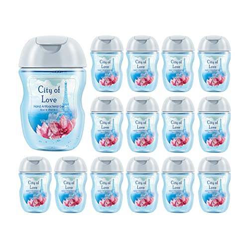 Mini Hand Sanitizer Gel, Vital Luxury Anti-Bacterial Hand Gel 1 FL OZ, Portable Hand Sanitizer with Travel Size Flip Cap Bottle , Clear Moisturizing and Refreshing, Fast Dry (Island Mango 1 FL OZ, 15 PCS)