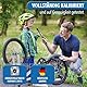 STONE REEF Drehmomentschlüssel [21tlg inkl. ] Einrastender 1/4 Zoll 1-25 nm - Wrench Set für Fahrrad 1-25 nm torque Ratschenset
