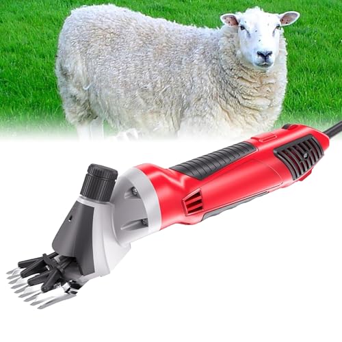 Tondeuse moutons électrique puissante 1000W à 6 vitesses réglables